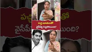 Sri Reddy Fires On YSRCP Party | #ysjagan | #ycpleaders | #chandrababu | #yuvagalam | #shorts
