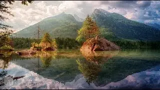 The Enlightened Perspective (Excerpt)