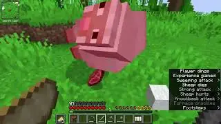 ChillCraft, Ep 1 - The First Steps