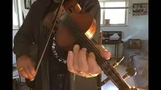 MULE TRAIN LESSON