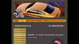FLEXLOG-Objektsicherung-Peilsender von SHERLOG.mp4