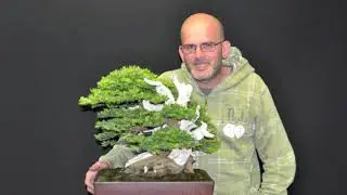 taxus baccata movie story