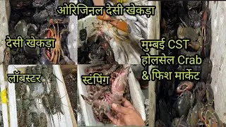 CST Fish & Crabs Market Mumbai | Wholesale crab Market |