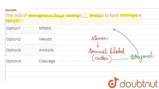The cells of sporogenous tissue undergo____ division to form microspore tetrads.