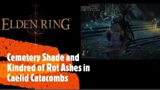 Elden Ring [Cemetery Shade and Kindred of Rot Ashes in Caelid Catacombs]
