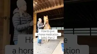 How to give a horse medication (pills): Part 2 #clinicalanimalbehaviourist #horsebehaviour