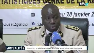 Ziguinchor : producteurs et utilisateurs appellent &agrave; renforcer les statistiques sensibles au genre