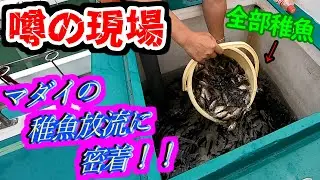 こうして海は『支えられている』