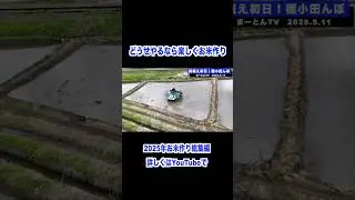 お米作り2025総集編 #tractor #お米 #コシヒカリ #農業 #田植え