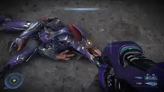The &ldquo;skirmishers&rdquo; in Halo Infinite arn&rsquo;t skirmishers (READ DESCRIPTION)