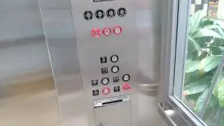 1993 Montgomery Scenic elevator at the food court in St Clair Sq mall in Fairview Heights IL