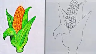 Corn Drawing | How To Draw Corn Step By Step (Very Easy)