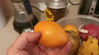 Tamarillo / Tree Tomato, Solanum betaceum. Fruit tasting review and information about the plant