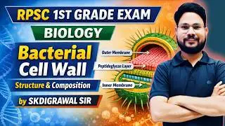 BACTERIAL  CELL WALL  STRUCTURE & COMPOSITION 01 I RPSC 1ST GRADE BIOLOGY  I SKDIGRAWAL #cell_wall
