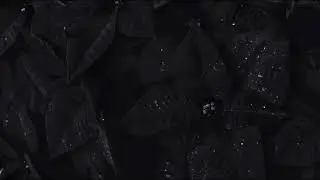 lil peep star shopping &ldquo;metro exodus&rdquo;
