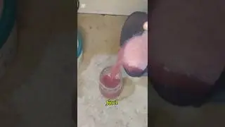 Fresh Falsa juice 🥤🤤