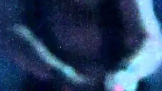 Cutoff:Sky feat. Verzicht (REIZ) - Cyclogenesis (live)