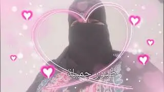 انا وهى  والبواب وقريبه عملنا كلنا حفلة