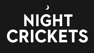 Black Screen Night Crickets for Deep Sleep 🌙 No Music | Calm Nature Sounds
