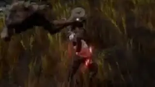 How to Get Dryleaf Martial arts weapon