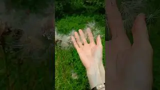 Как ненависть разрушает человека 🔸 #ненависть #эмоция #разрушения