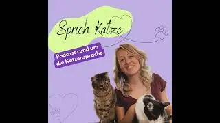 Katzenbiss; und jetzt?