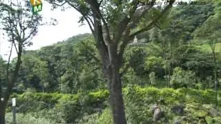 The Beauty of Dharma Drum Mountain: Buddha Images