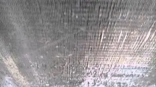 MOV00807