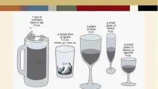 Alcohol  Psychoactive Misuse Abuse Prevention Webinar Recording