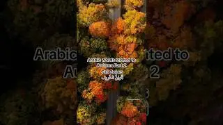 Fall Colors in Arabic 🍂 #LearnArabic