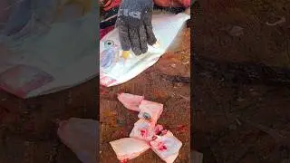 KASIMEDU 🔥LEATHER JACKET FISH CUTTING #kasimedufishmarketlatest #kasimeduspeedselvam #shorts