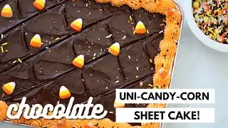 Chocolate Uni-Candy-Corn Sheet Cake!