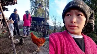 Himalayan life of Nepal || shepherd life of Nepal || @manjitacooking