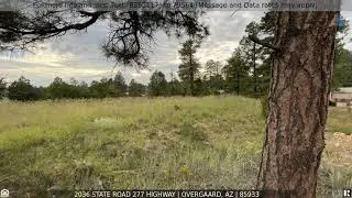 Priced at $32,000 - 2036 State Road 277 Highway, Overgaard, AZ 85933