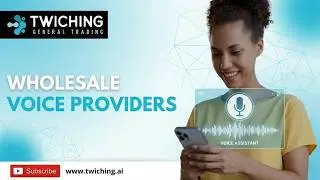 Wholesale Voice Providers: Discover the Power of Wholesale Voice Providers with Twiching