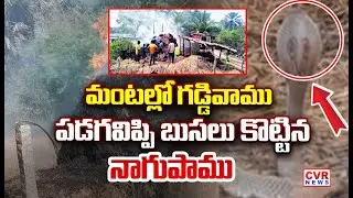 గడ్డివాము తగలబడుతుండగా విచిత్రం | Khammam District Grass Burnt Viral Video | CVR NEWS