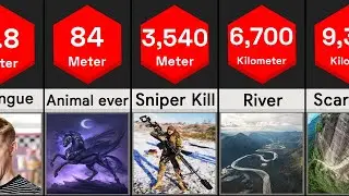 Longest Things in the World - Size Comparison