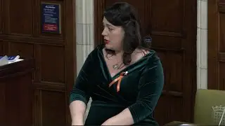 Westminster Hall Debate on Violence Against Women and Girls