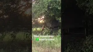 Deer season prep 🦌✅
