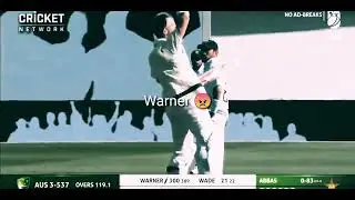DAVID WARNER  300 😈