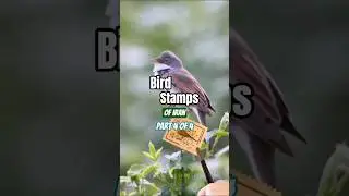 Iranian Birds Stamp - part 4 of 4