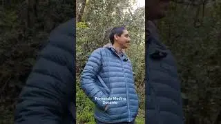 &Ntilde;uble y  sus escuelas rurales: Cap&iacute;tulo 1