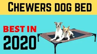 Durable Best Dog Bed For Chewers in 2020  | Chew Proof Dog Beds.