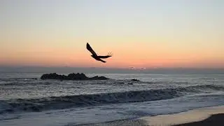 [4K ASMR] Powerful Energy! Miracle Sunrise for Wealth & Success 💰 Munmu Daewangneung | 문무대왕릉 일출