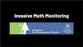 Monitoring Invasive Moths in Alaska