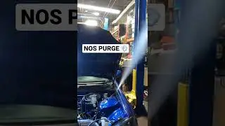 That NOS Purge 🤤