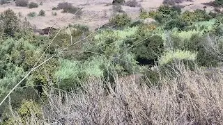 Ladera Ranch Trail View 10/4/25