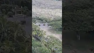 808 EMS screaming threw valley #siren #hope #well