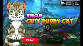 Avm Rescue Cute Puppy Cat Walkthrough [AvmGames]