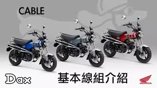『紅狗日記』Ep1 Honda Dax ST125 臘腸狗 基本線組 介紹 防水接頭 the cable